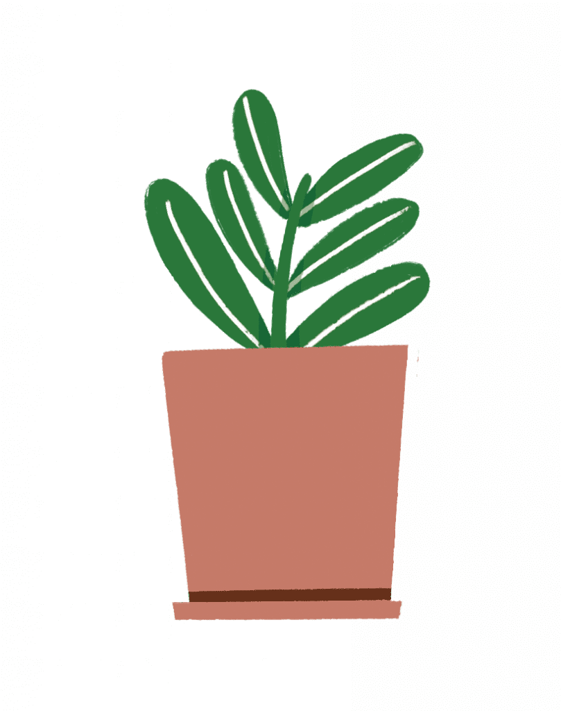 Illustration Topfpflanze